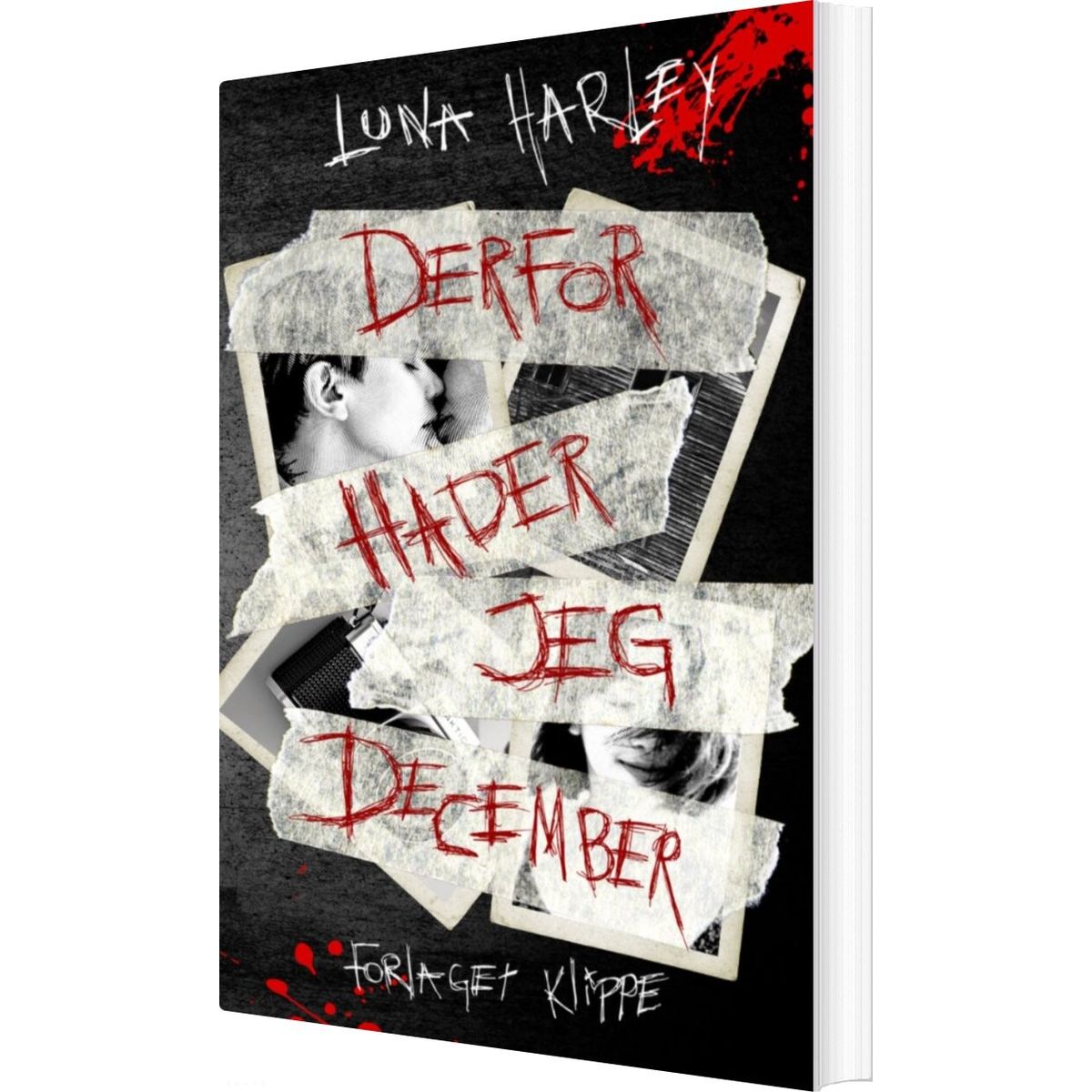 Derfor Hader Jeg December - Luna Harley - Bog