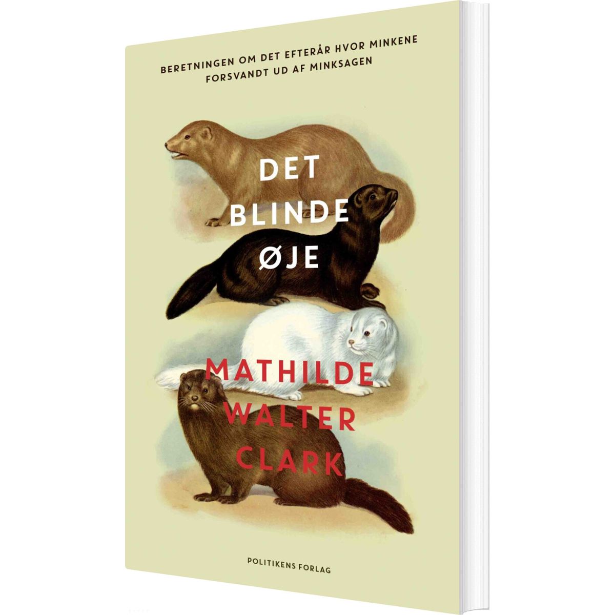 Det Blinde øje - Mathilde Walter Clark - Bog