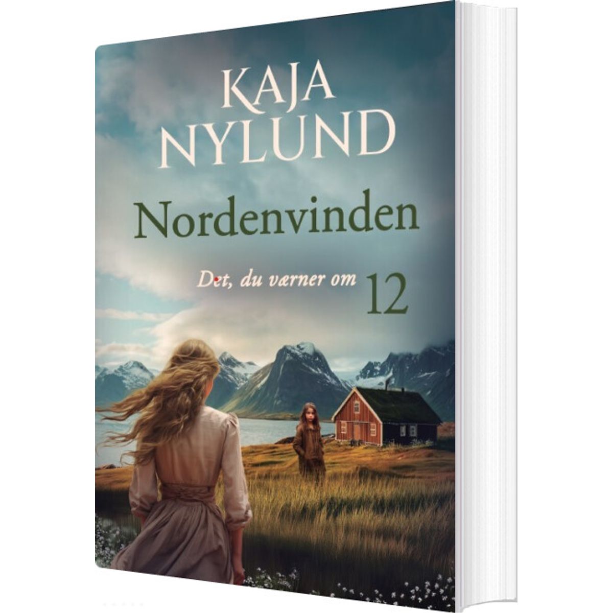 Det, Du Værner Om - Nordenvinden 12 - Kaja Nylund - Bog