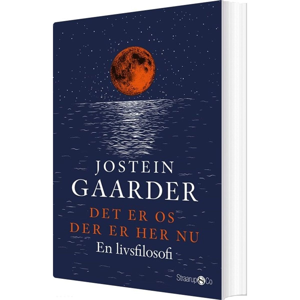 Det Er Os, Der Er Her Nu - Jostein Gaarder - Bog