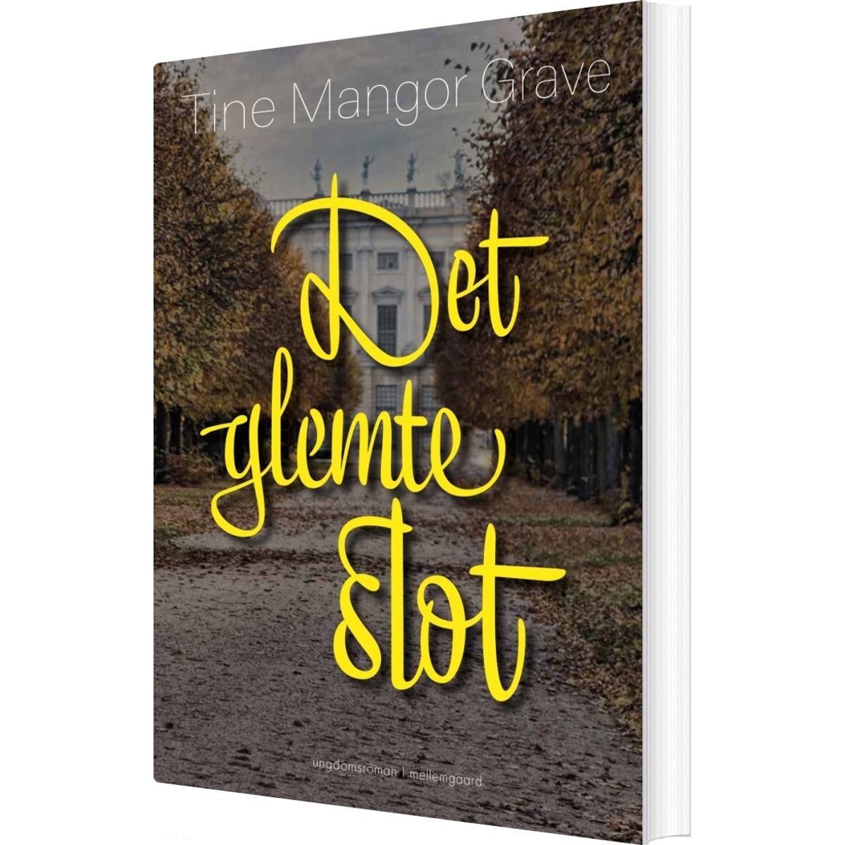 Det Glemte Slot - Tine Mangor Grave - Bog