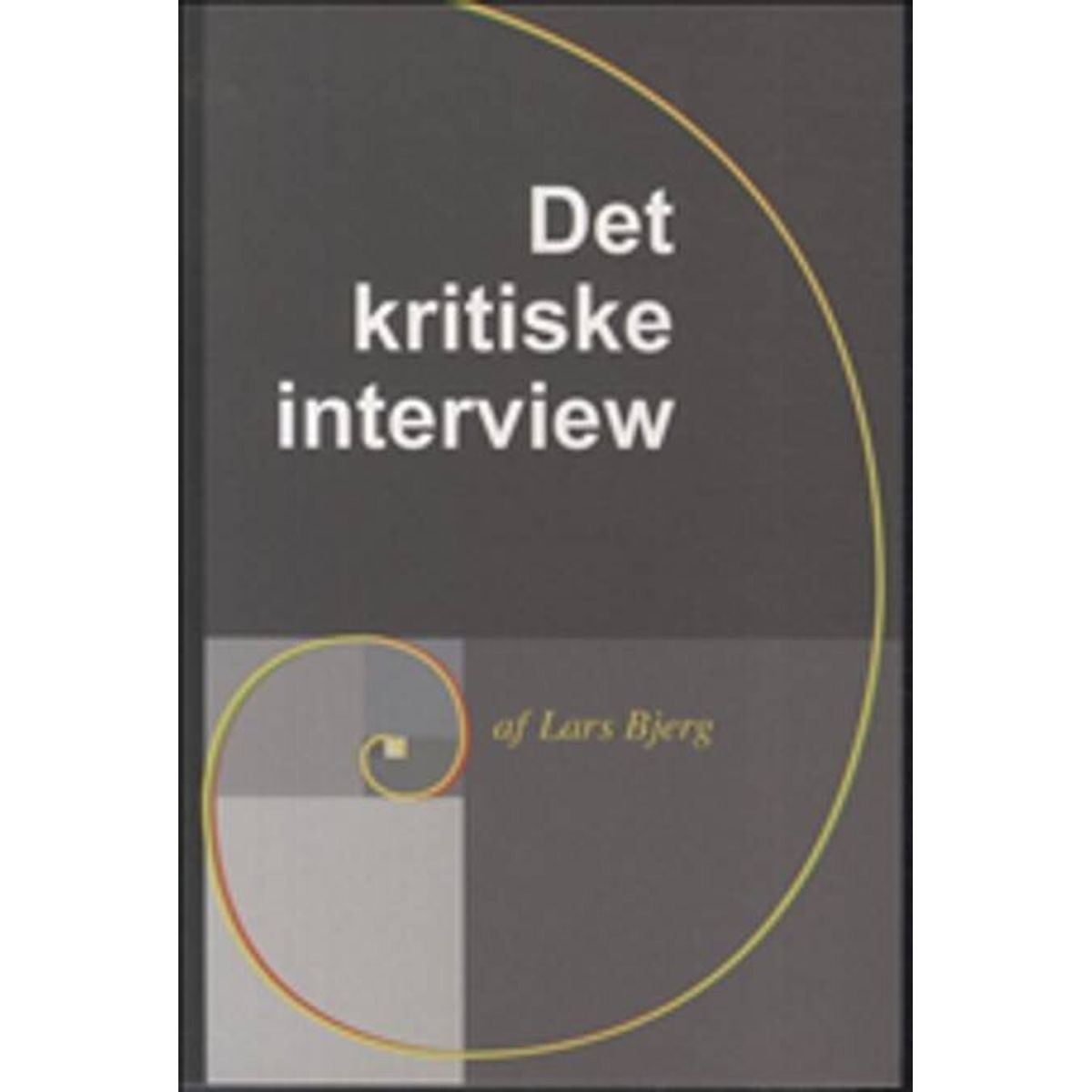 Det Kritiske Interview - Lars Bjerg - Bog