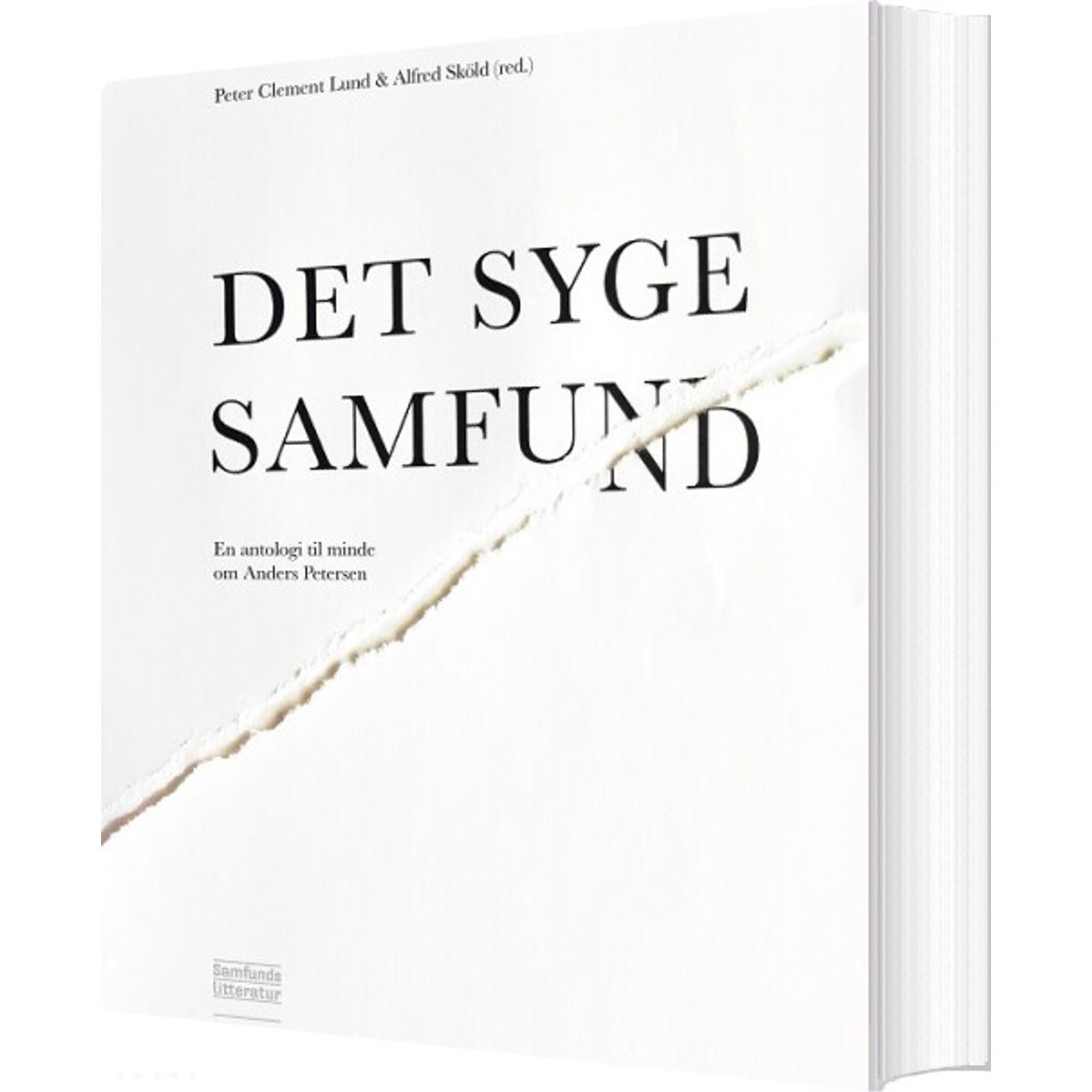 Det Syge Samfund - Alfred Sköld - Bog