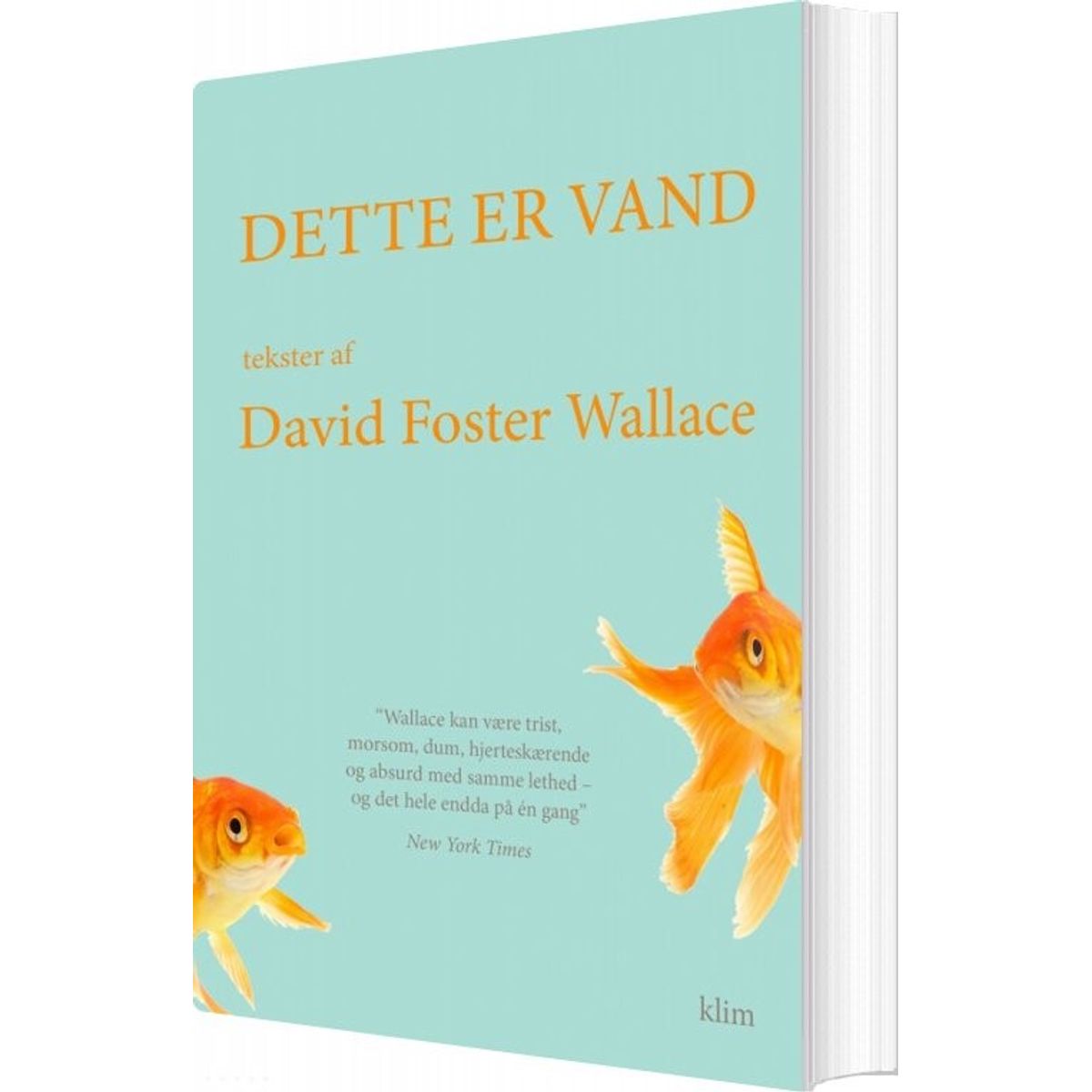 Dette Er Vand - David Foster Wallace - Bog