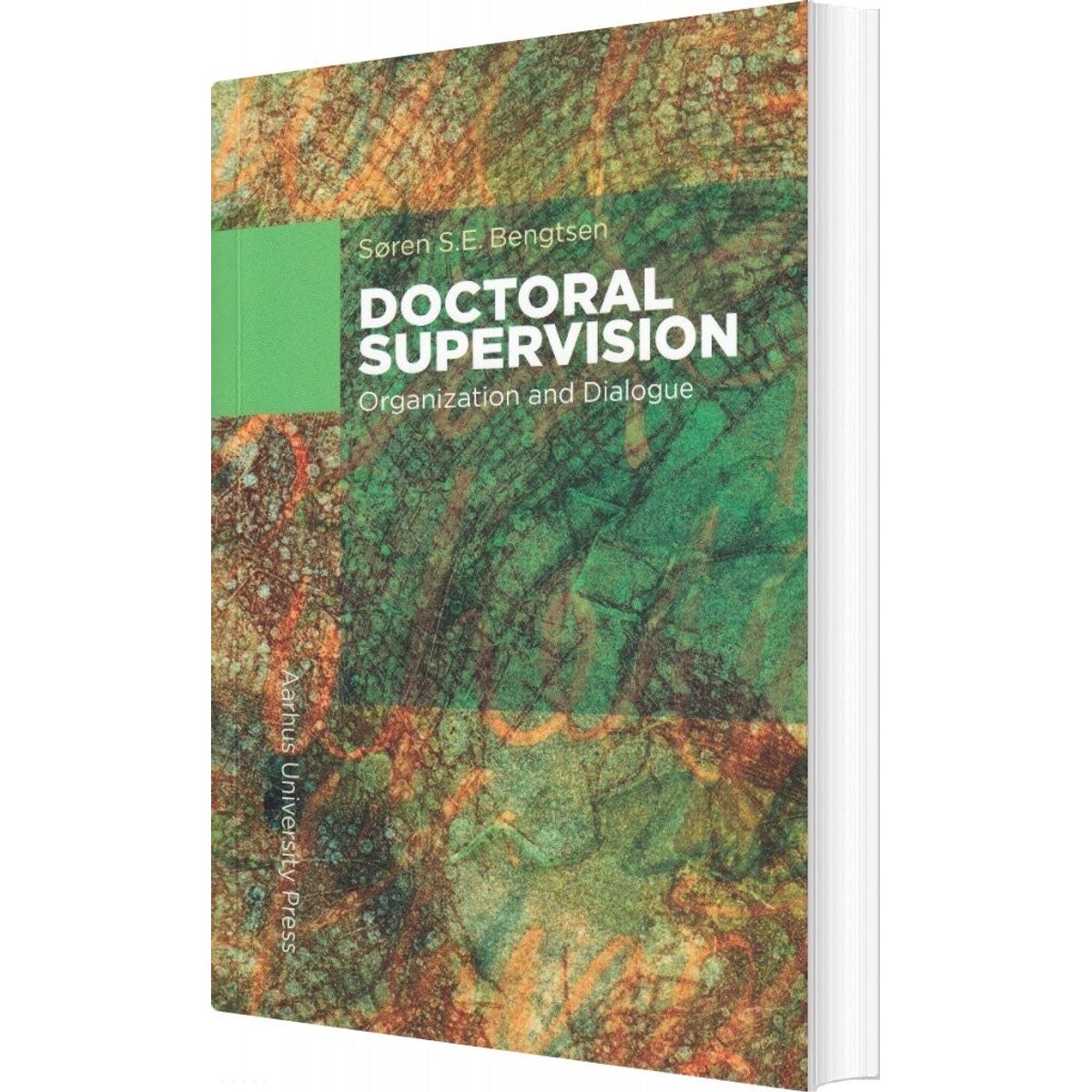 Doctoral Supervision - Søren S.e. Bengtsen - English Book