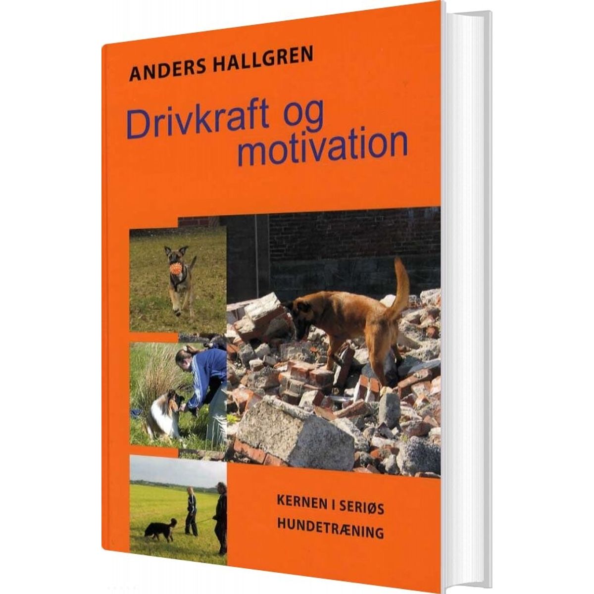 Drivkraft Og Motivation - Anders Hallgren - Bog