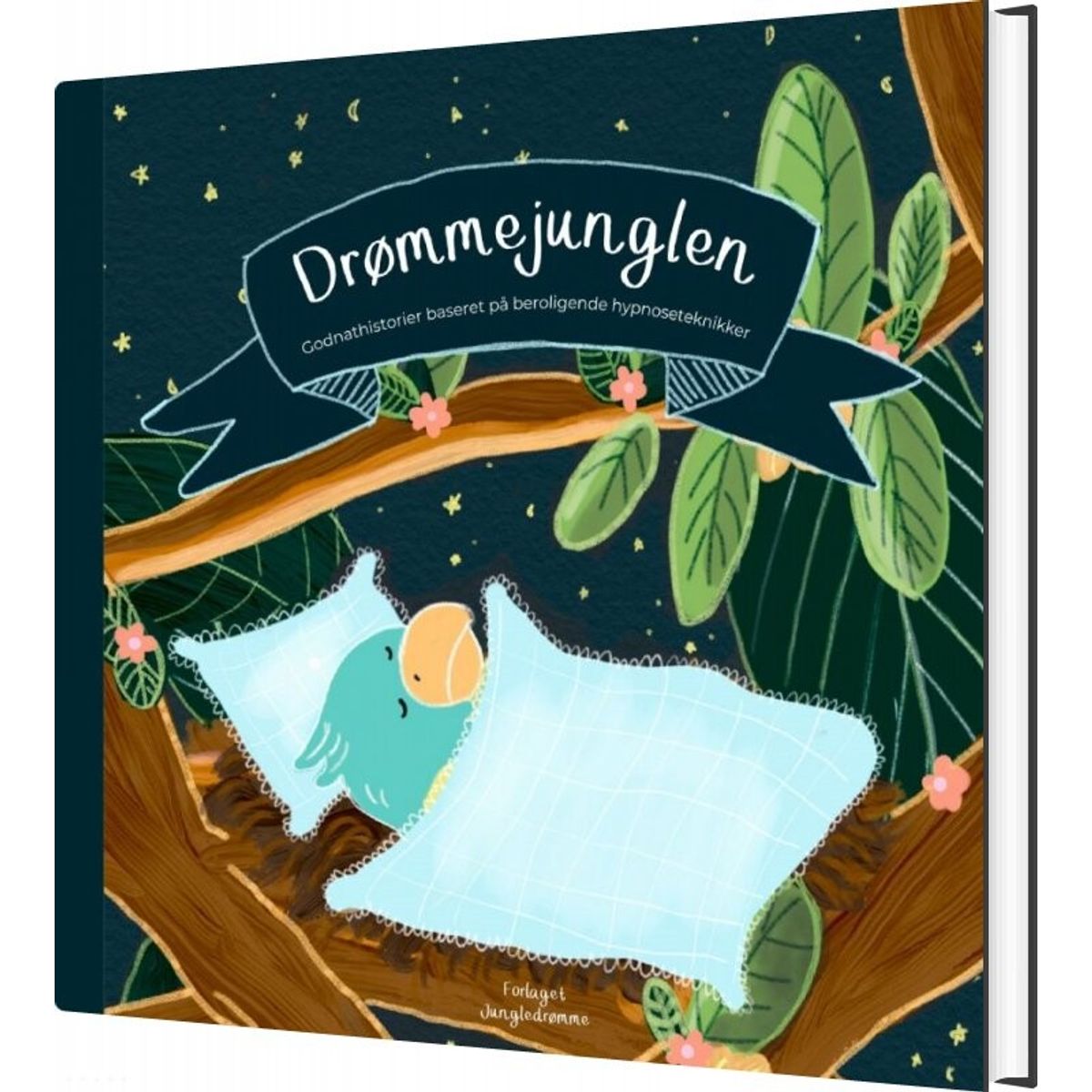 Drømmejunglen - Anna Knakkergaard - Bog