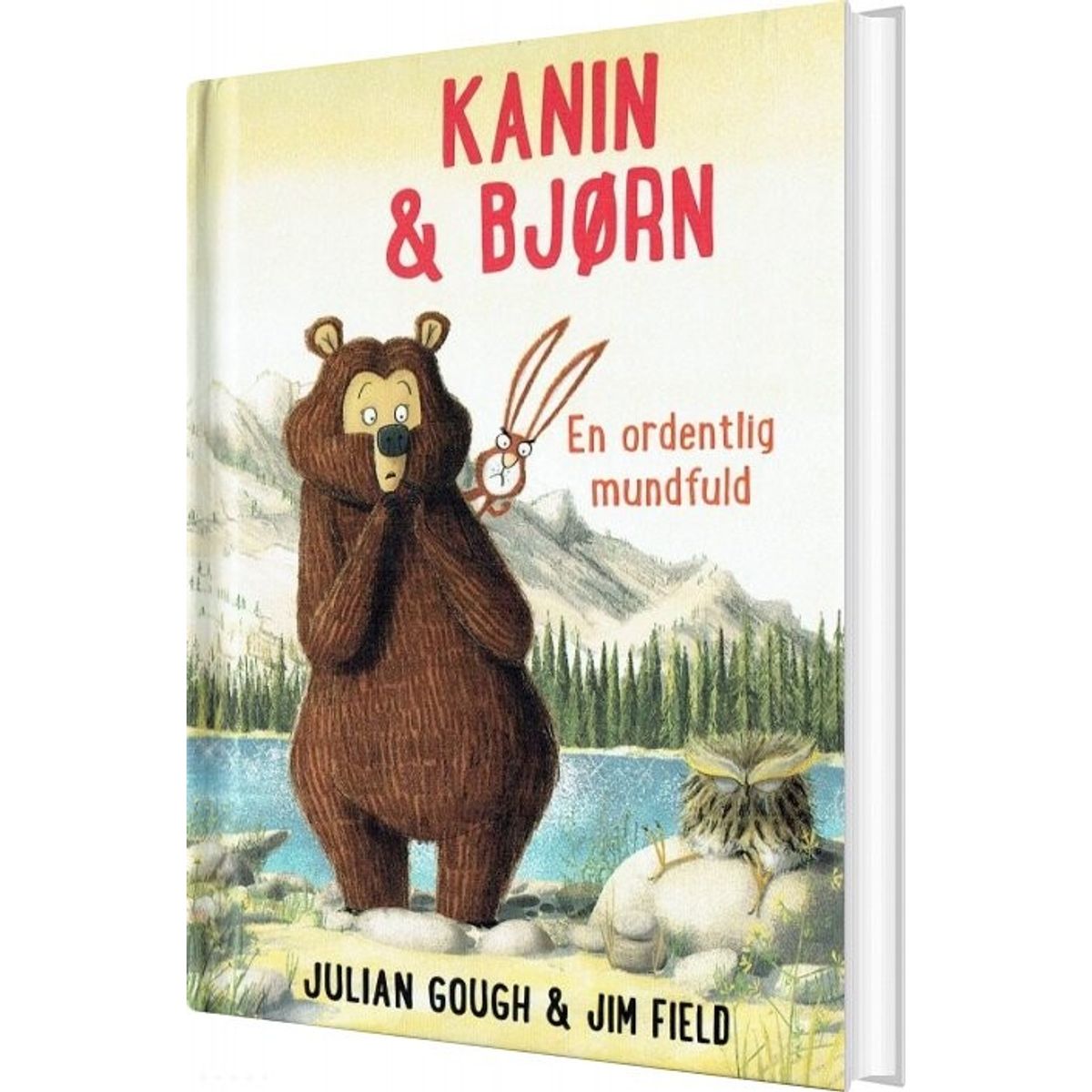 Kanin Og Bjørn 3 - Julian Gough - Bog