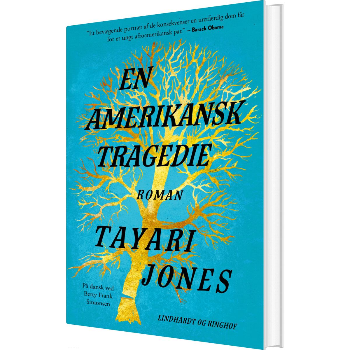 En Amerikansk Tragedie - Tayari Jones - Bog