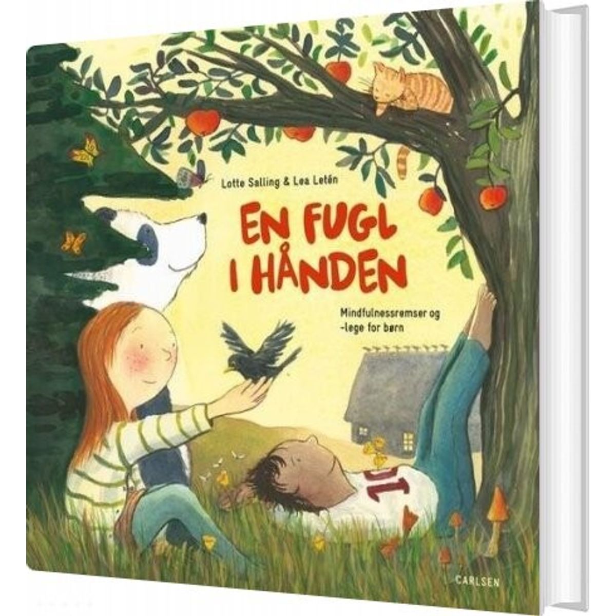 En Fugl I Hånden - Lotte Salling - Bog