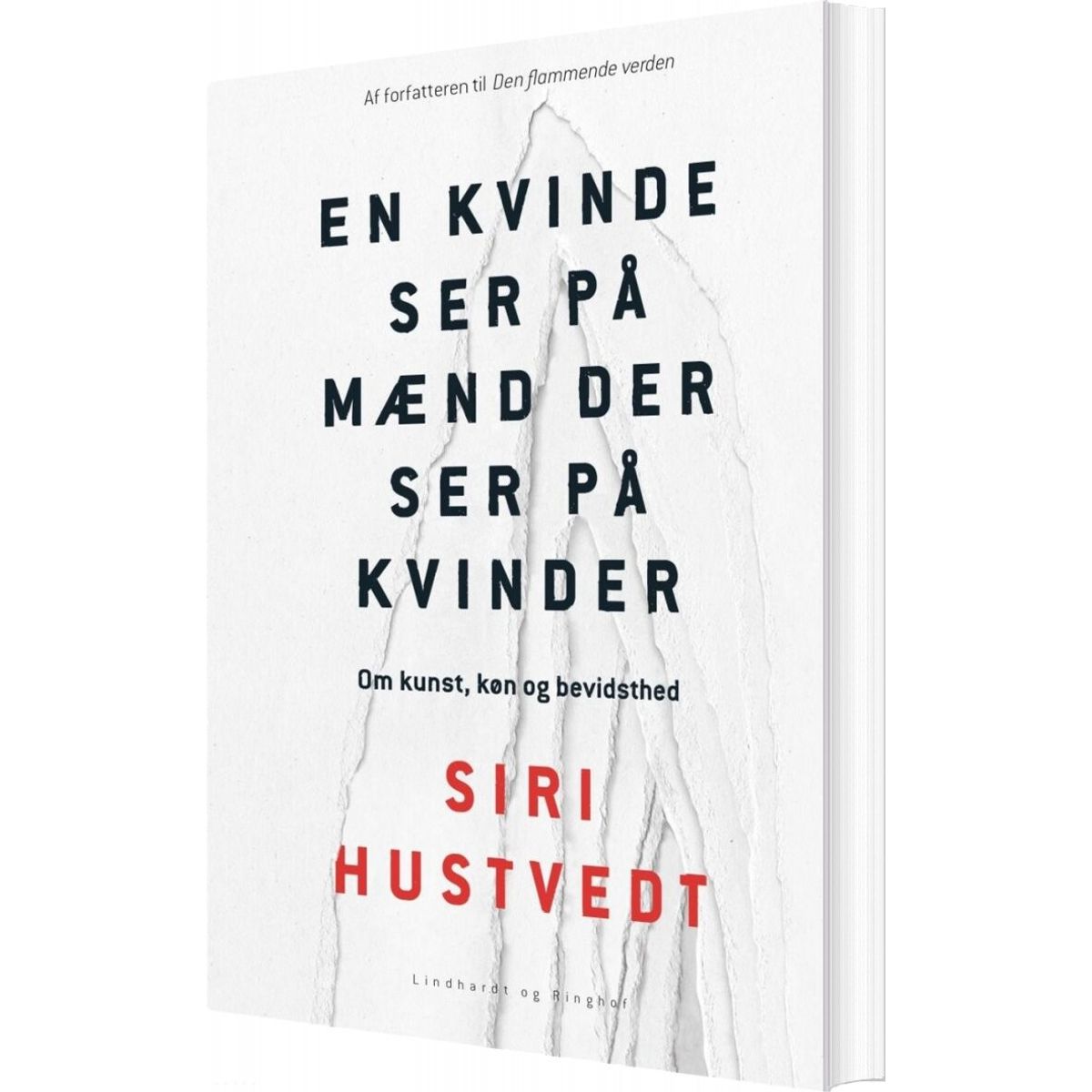 En Kvinde Ser På Mænd Som Ser På Kvinder - Siri Hustvedt - Bog