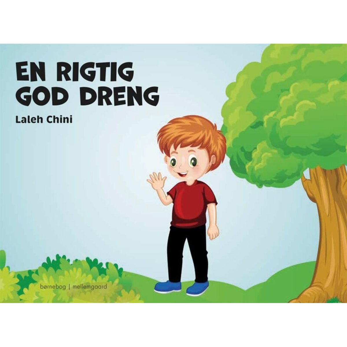 En Rigtig God Dreng - Laleh Chini - Bog