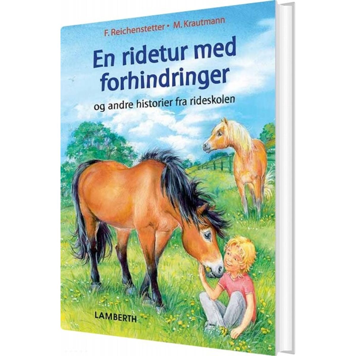 En Ridetur Med Forhindringer - Friederun Reichenstetter - Bog