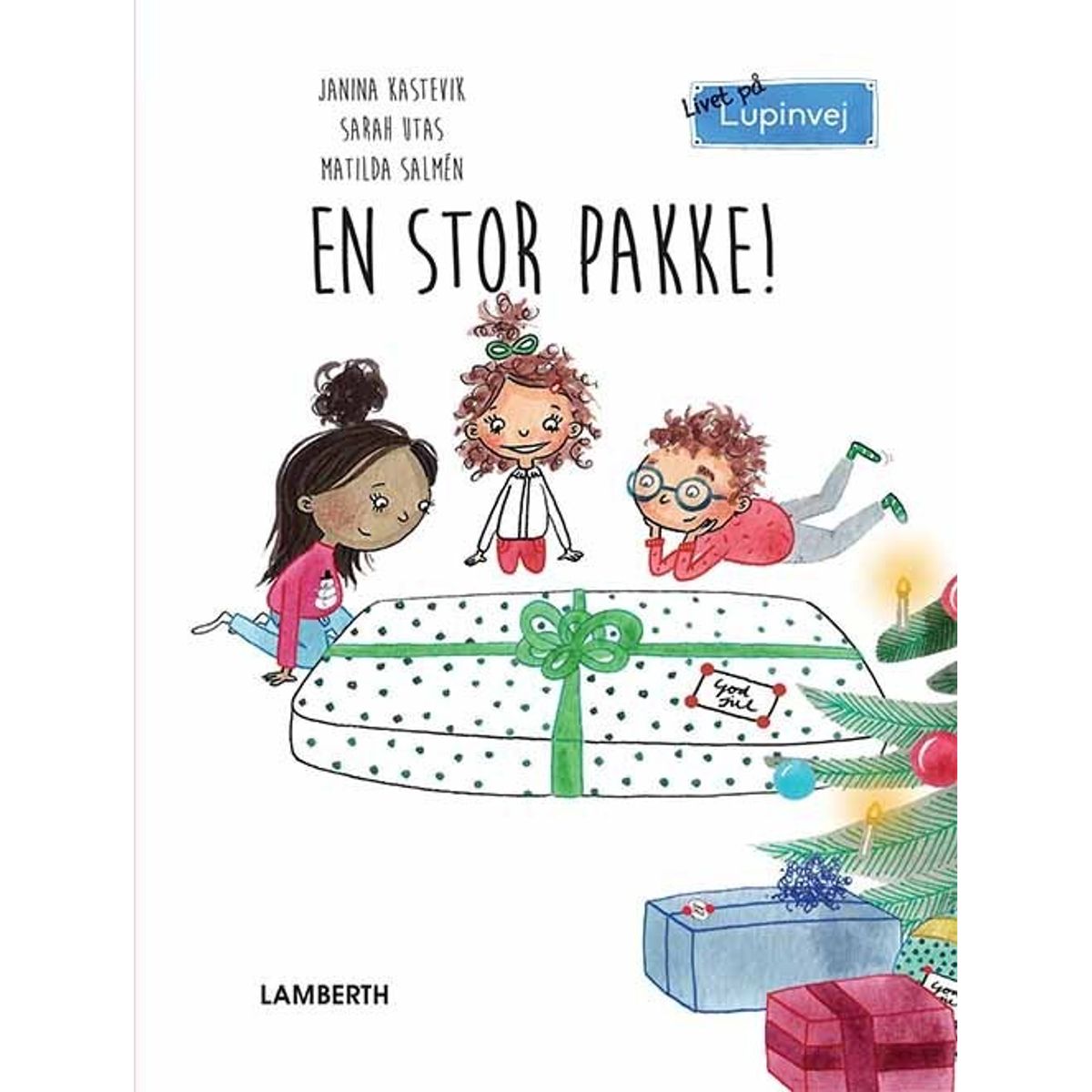 En Stor Pakke! - Janina Kastevik - Bog