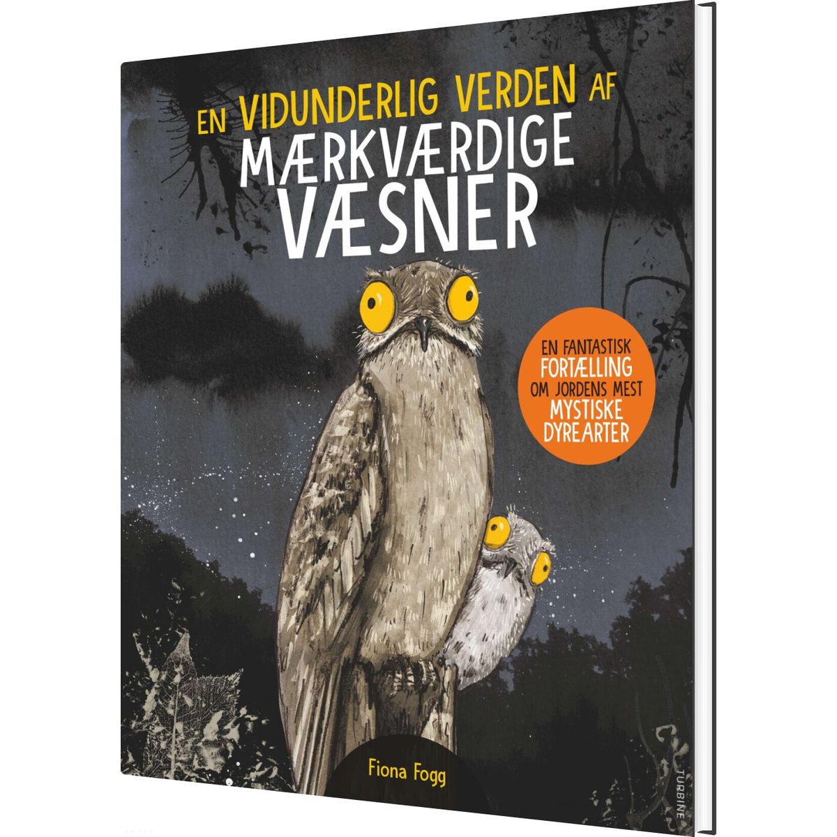 En Vidunderlige Verden Af Mærkværdige Væsner - Finoa Fogg - Bog