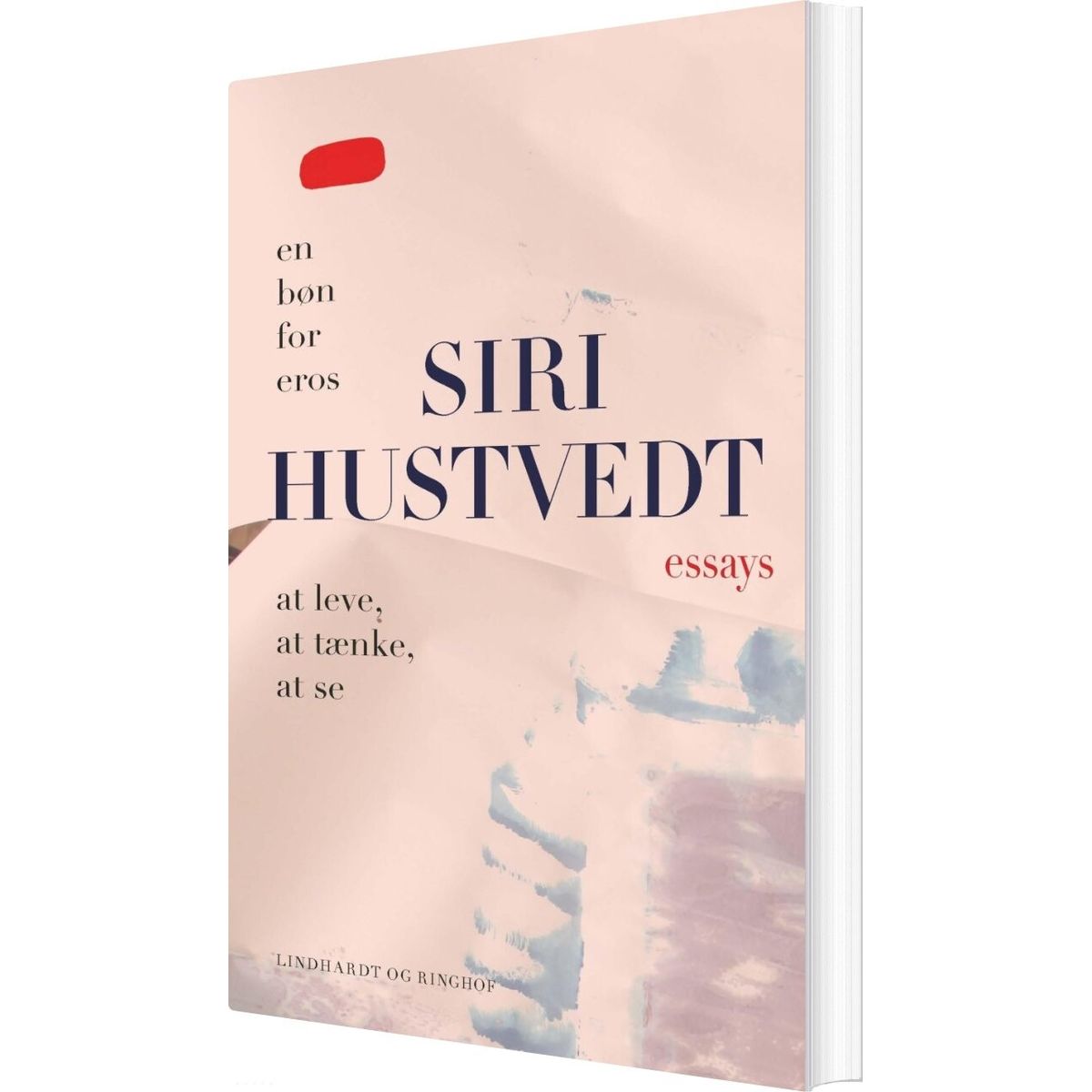 Essays - At Leve, At Tænke, At Se & En Bøn For Eros - Siri Hustvedt - Bog