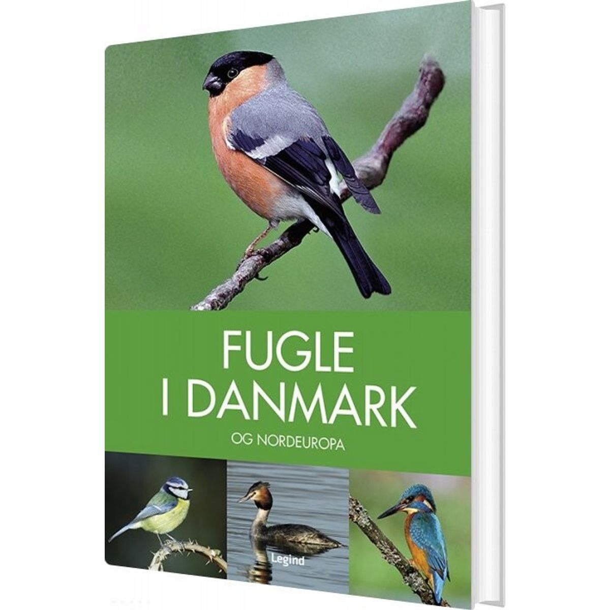 Fugle I Danmark - Peter Goodfellow - Bog