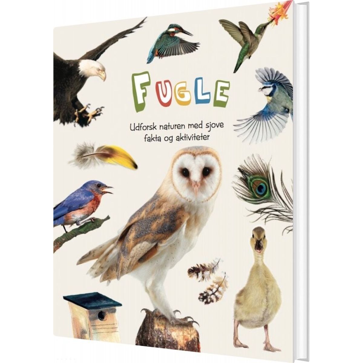 Fugle - Diverse - Bog