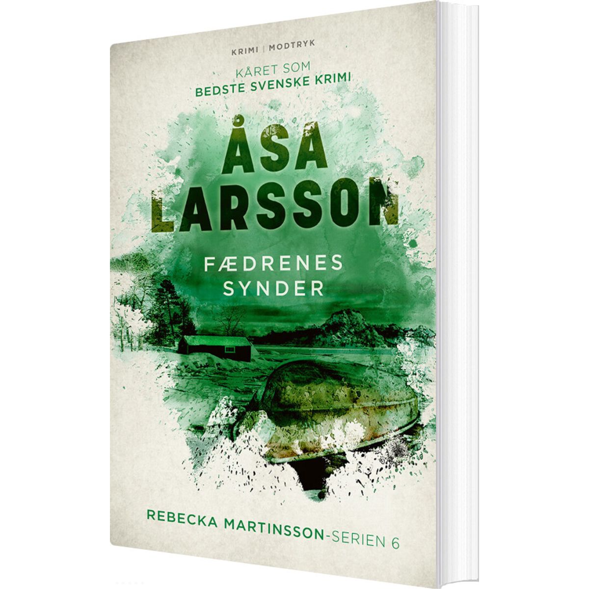 Fædrenes Synder - åsa Larsson - Bog