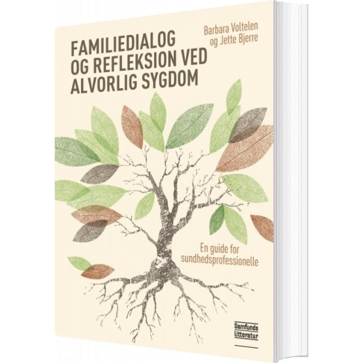 Familiedialog Og Refleksion Ved Alvorlig Sygdom - Barbara Voltelen - Bog