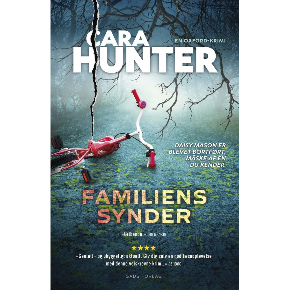 Familiens Synder - Cara Hunter - Bog