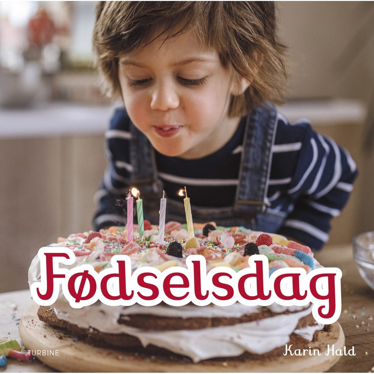 Fødselsdag - Karin Hald - Bog