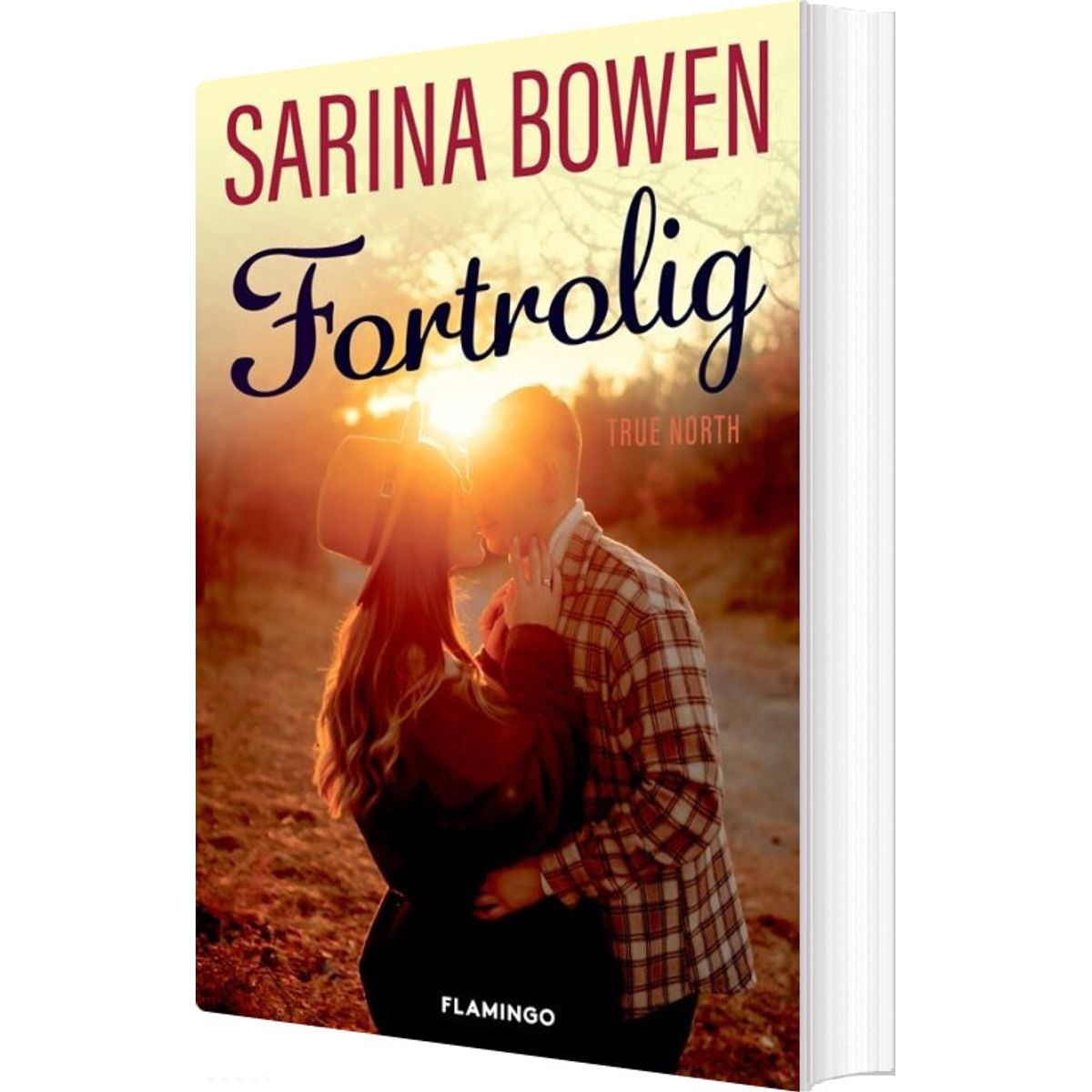 Fortrolig - Sarina Bowen - Bog