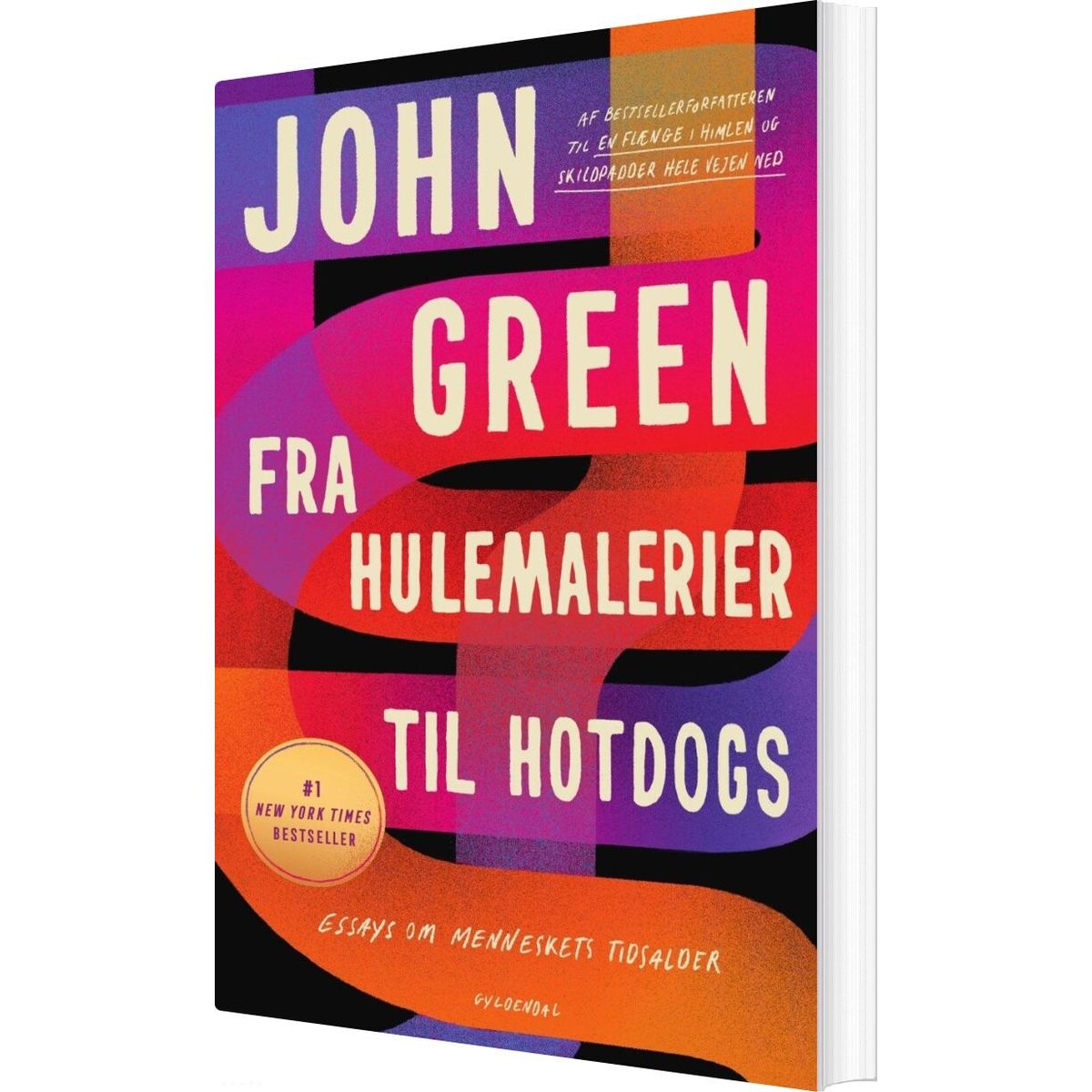 Fra Hulemalerier Til Hotdogs - Essays Om Menneskets Tidsalder - John Green - Bog