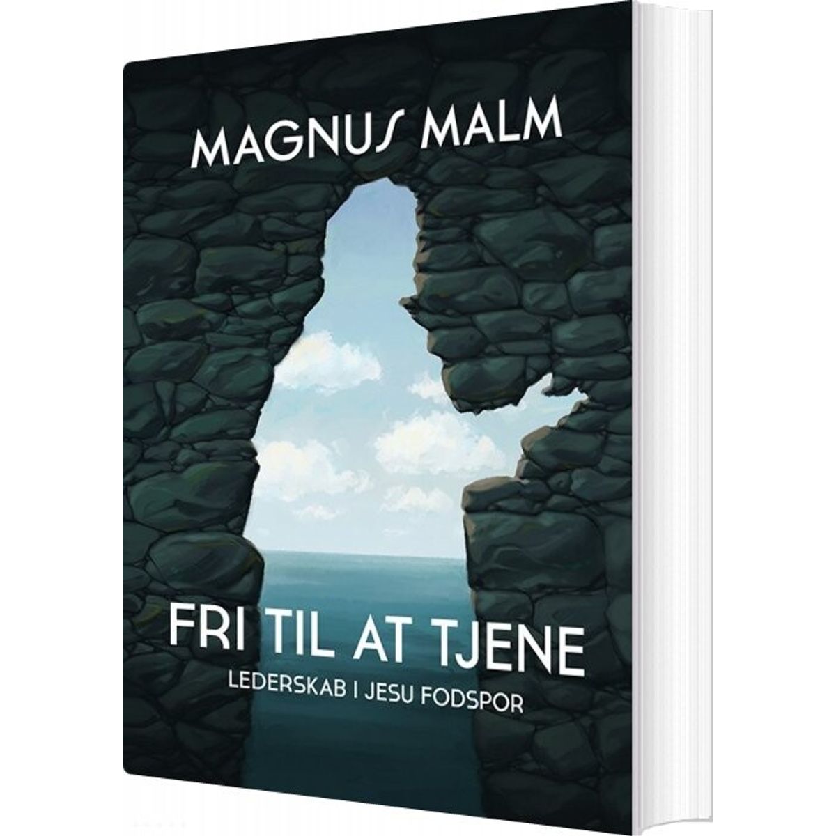 Fri Til At Tjene - Magnus Malm - Bog