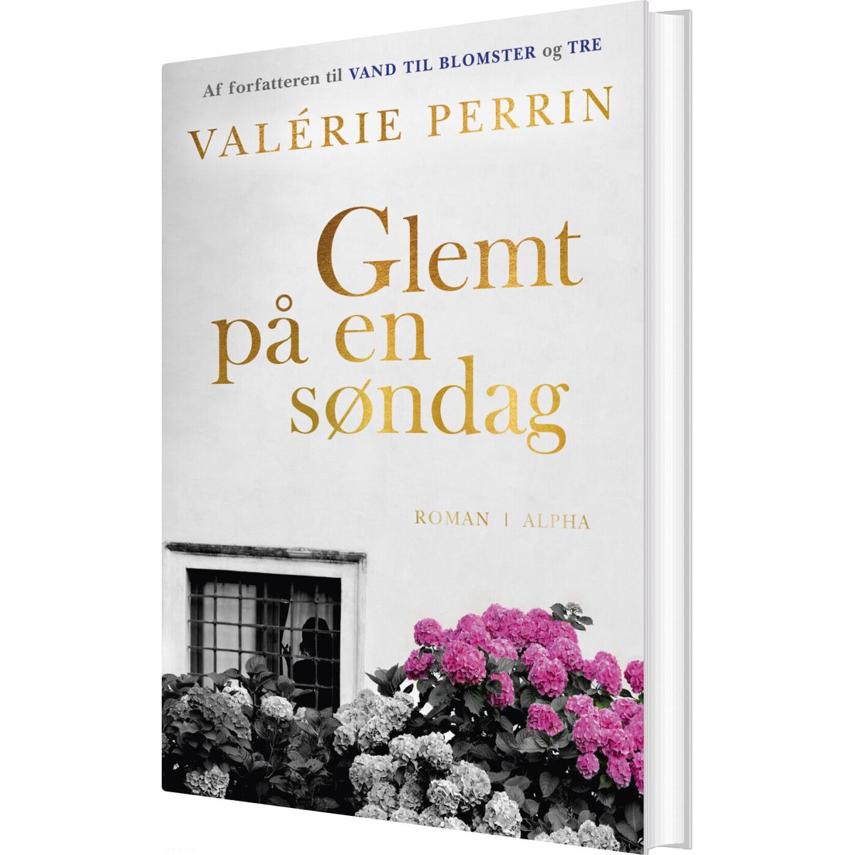 Glemt På En Søndag - Valérie Perrin - Bog