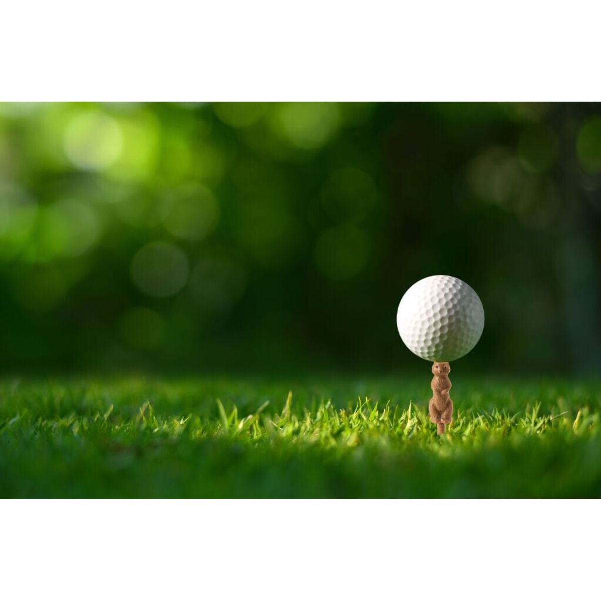 Kikkerland - Golf Tee - Gnaver - Plastik - 6 Stk