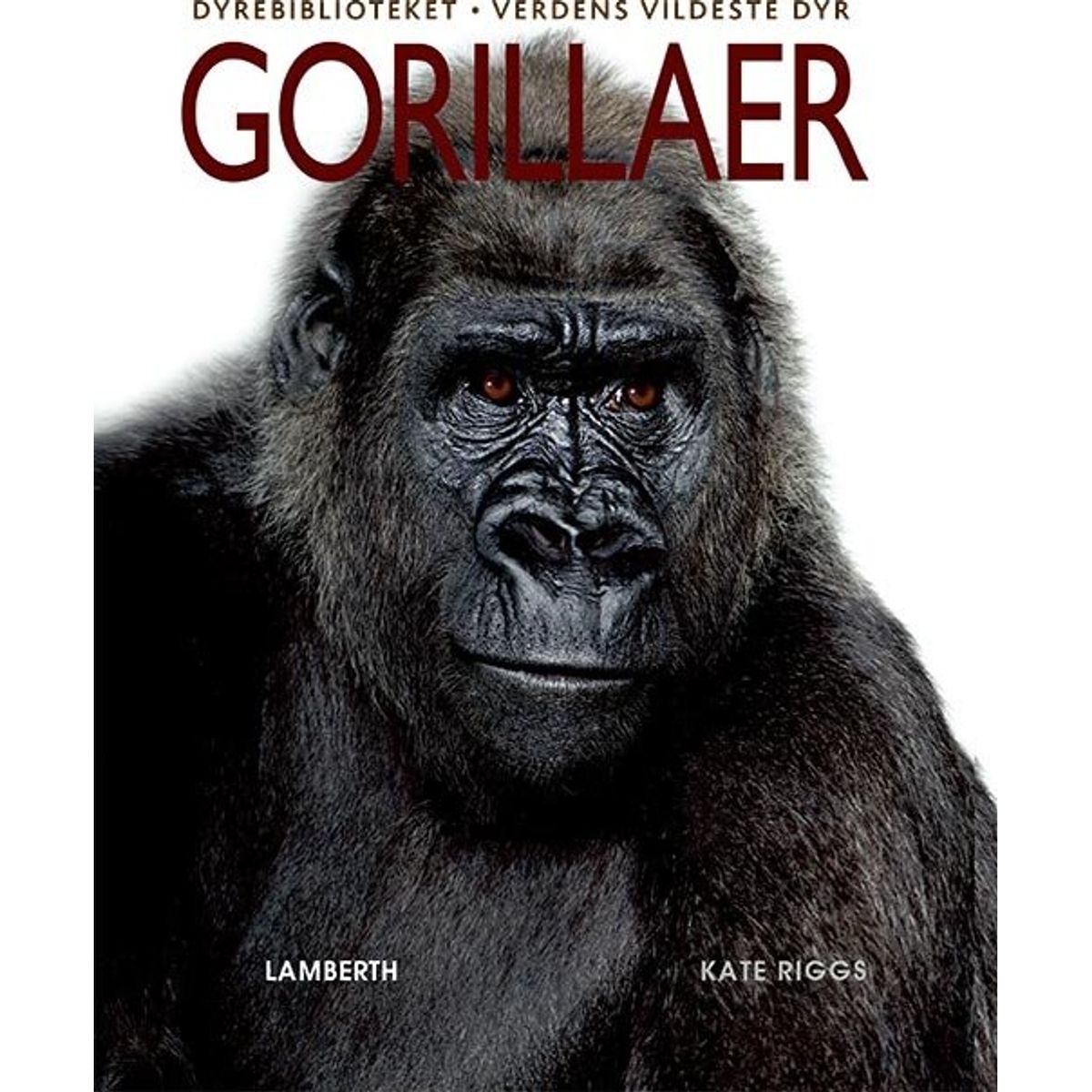 Gorillaer - Kate Riggs - Bog