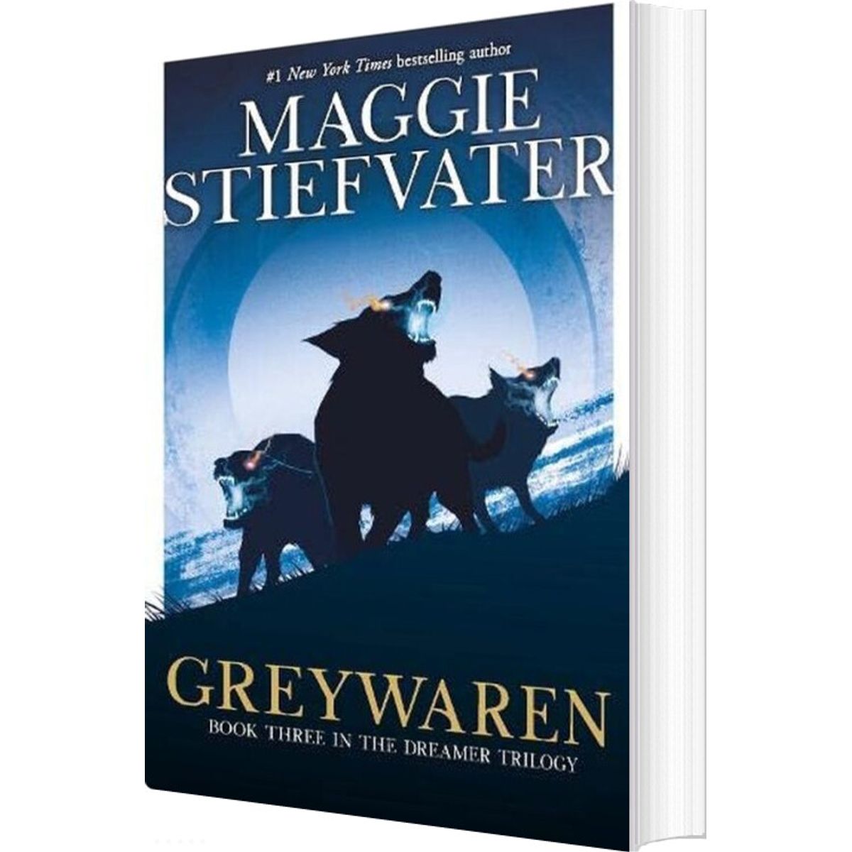 Greywaren - Maggie Stiefvater - English Book