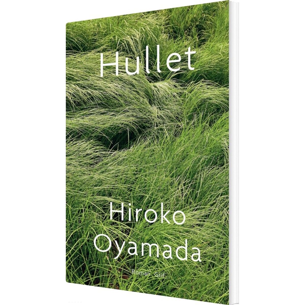 Hullet - Hiroko Oyamada - Bog