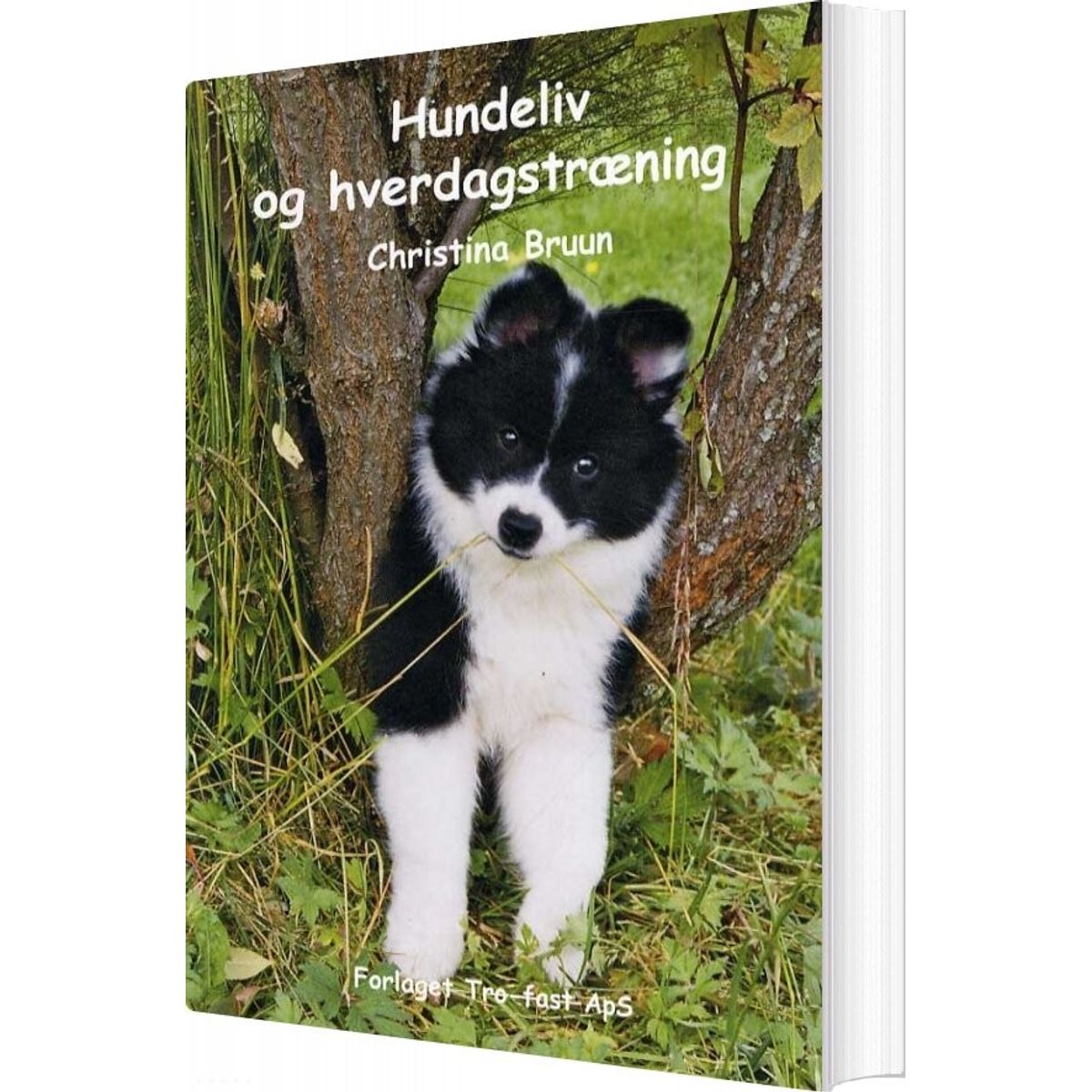 Hundeliv Og Hverdagstræning - Christina Bruun - Bog