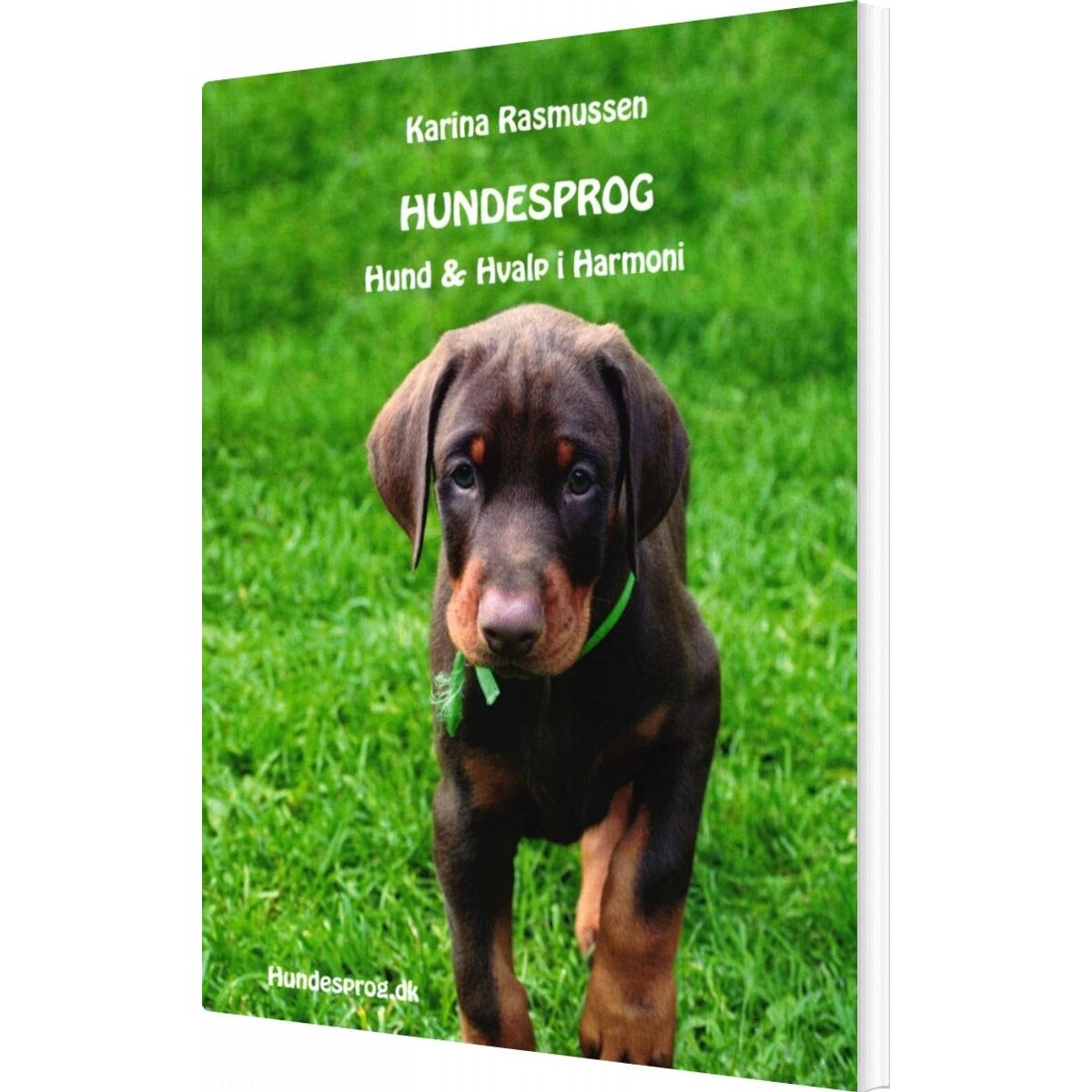 Hundesprog - Hund Og Hvalp I Harmoni - Karina Rasmussen - Bog