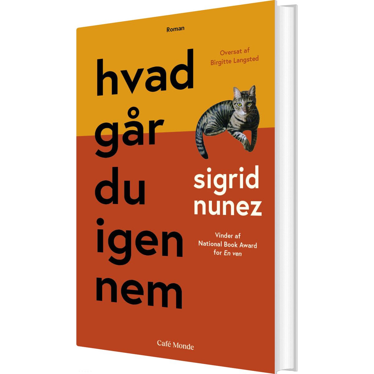 Hvad Går Du Igennem - Sigrid Nunez - Bog