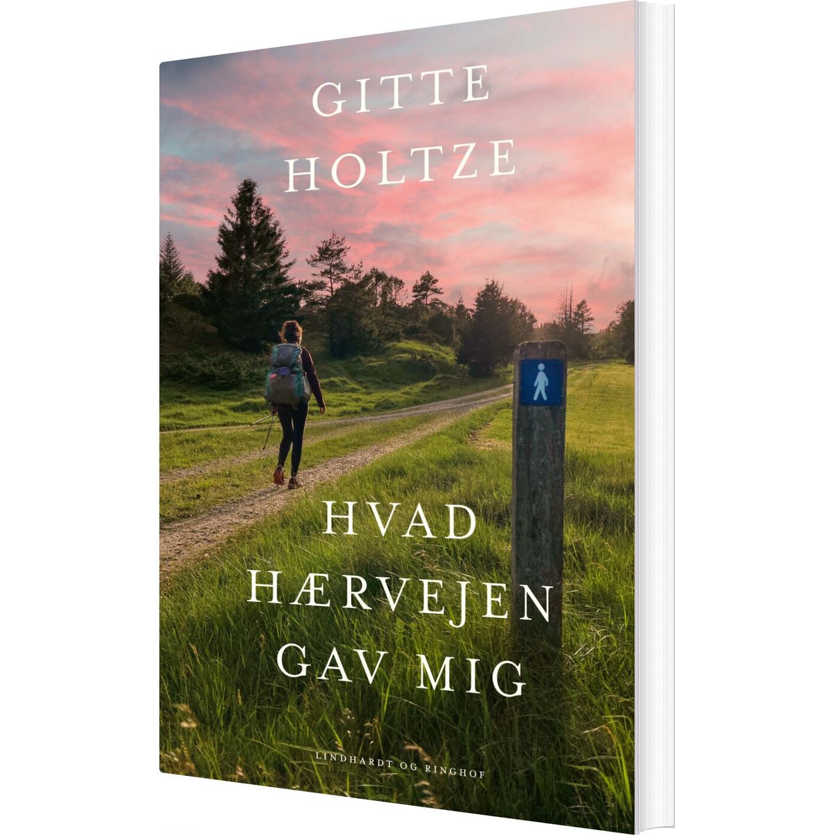 Hvad Hærvejen Gav Mig - Gitte Holtze - Bog