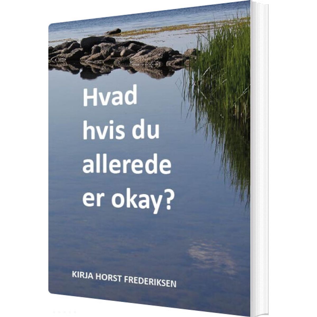 Hvad Hvis Du Allerede Er Okay? - Kirja Horst Frederiksen - Bog