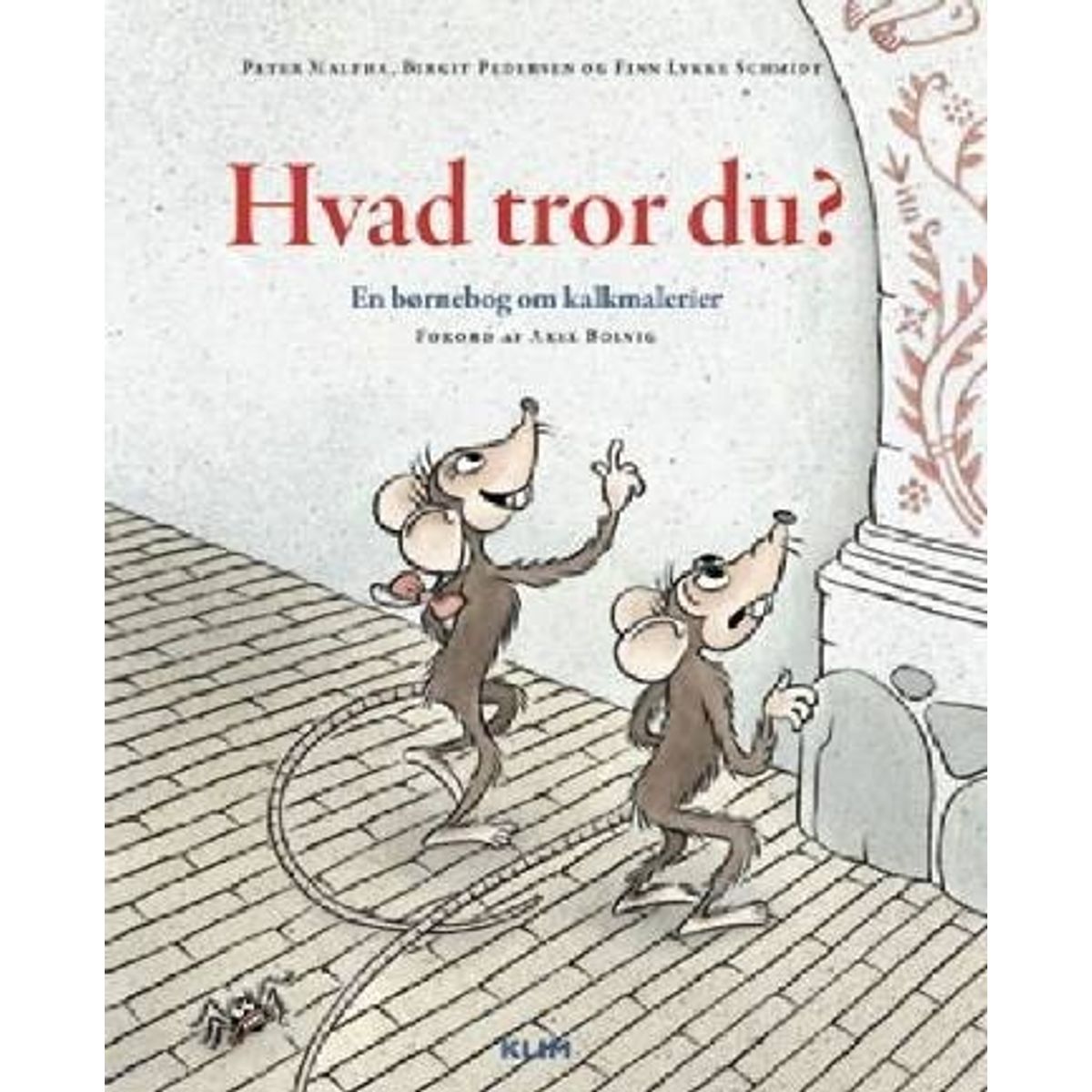 Hvad Tror Du? - Finn Lykke Schmidt - Bog