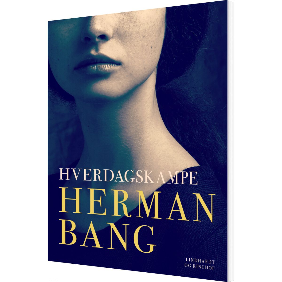 Hverdagskampe - Herman Bang - Bog