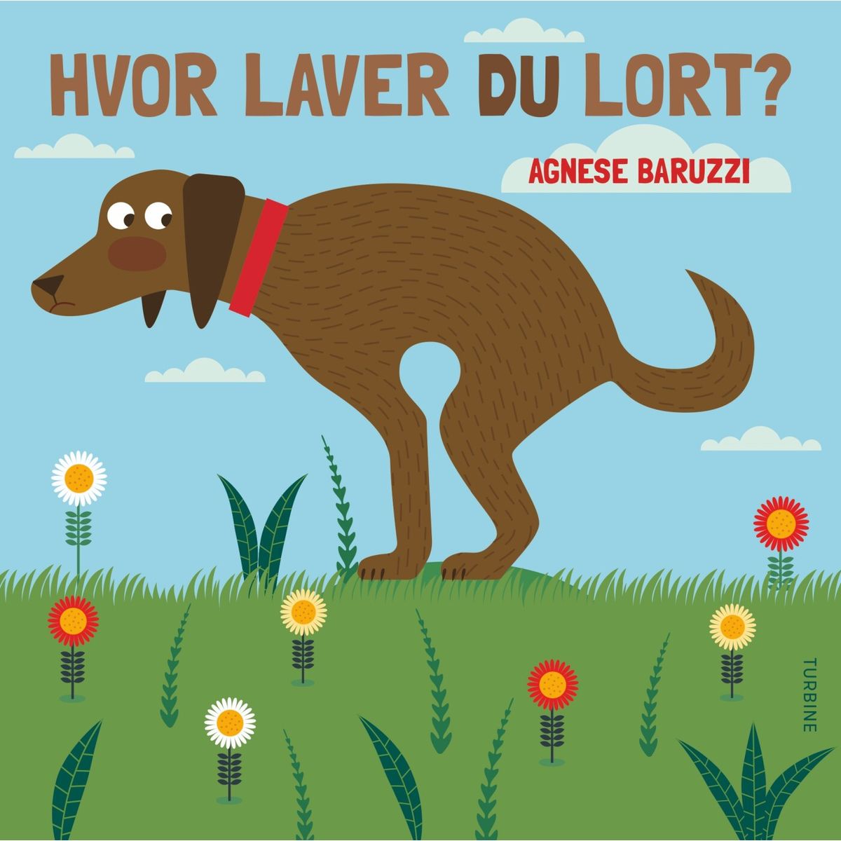 Hvor Laver Du Lort? - Agnese Baruzzi - Bog