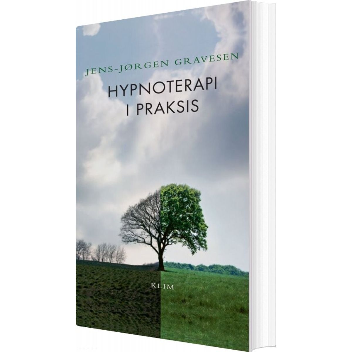 Hypnoterapi I Praksis - Jens-jørgen Gravesen - Bog