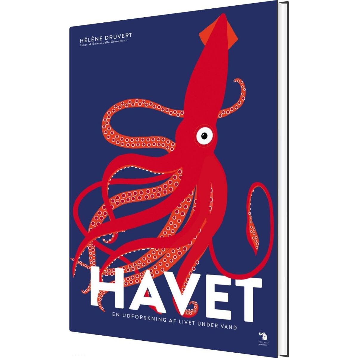 Havet - Hélène Druvert - Bog