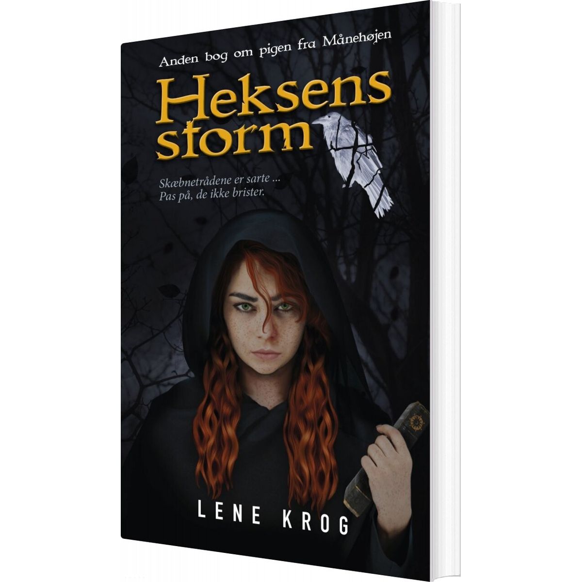 Heksens Storm - Lene Krog - Bog