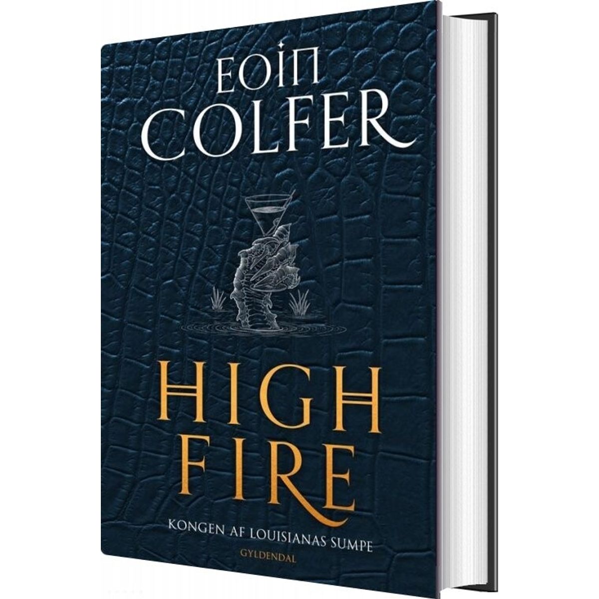 Highfire - Eoin Colfer - Bog