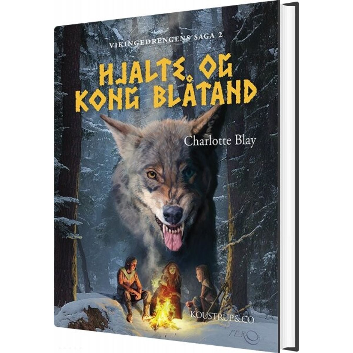 Hjalte Og Kong Blåtand - Charlotte Blay - Bog