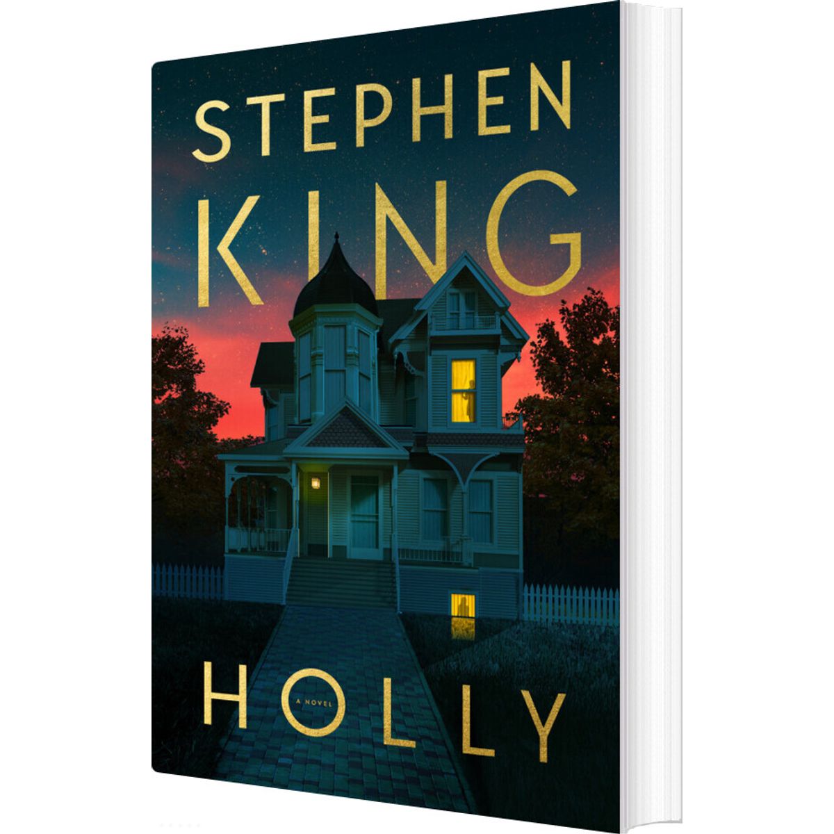 Holly - Stephen King - Bog