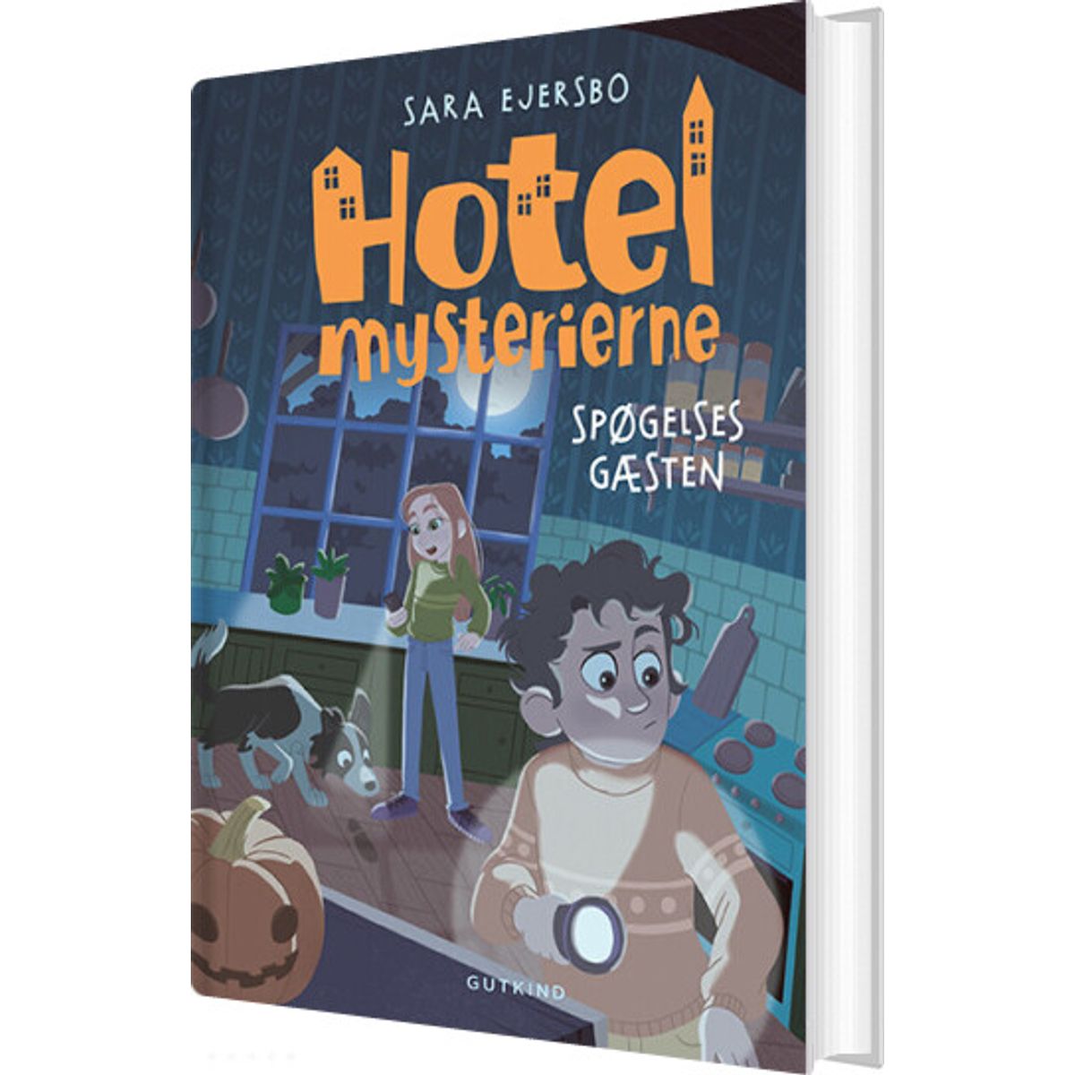 Hotelmysterierne - Spøgelsesgæsten - Sara Ejersbo - Bog