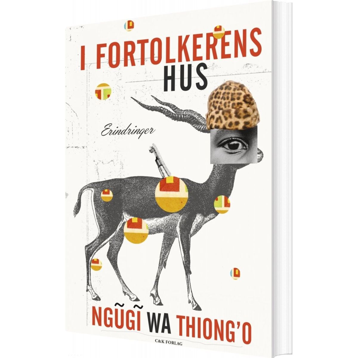 I Fortolkerens Hus - Ngugi Wa Thiong'o - Bog